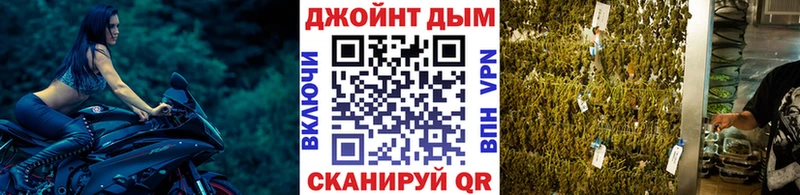 Каннабис гибрид  Чердынь 